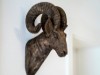 Bild 28