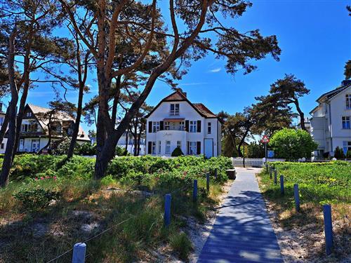 Semesterlägenhet - 2 personer -  - Strandpromenade - 17429 - Bansin (Seebad)