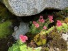 Bilde 11 - Inne