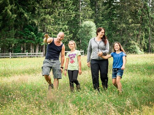 Bauernhof - 1 Person -  - Filzmoos - 8255 - Sankt Jakob