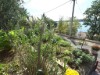 Bilde 4