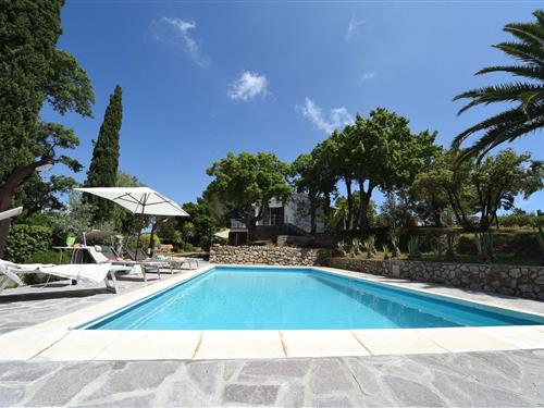 Sommerhus - 9 personer -  - Via Capo Perla - 57031 - Capoliveri