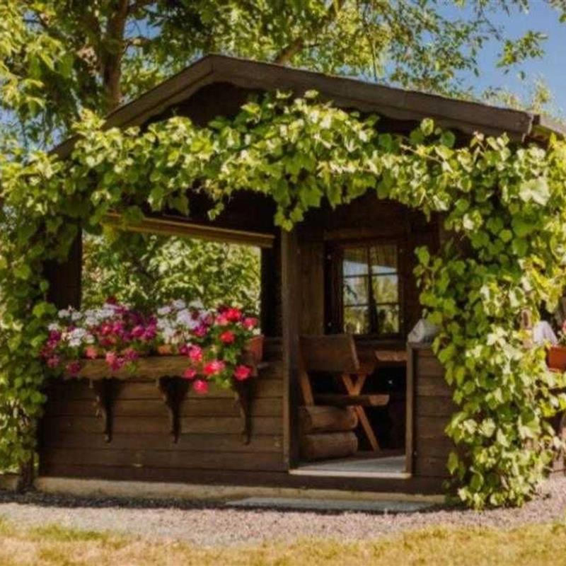 Ferielejlighed - 4 personer -  - Eggerbachstraße - 91330 - Eggolsheim