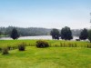 Bild 2 - Blick über's Wasser