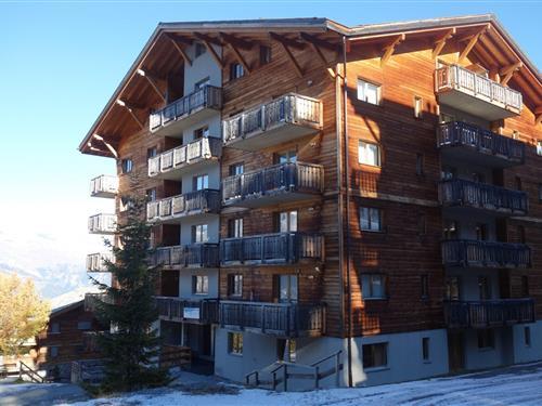 Sommerhus - 8 personer -  - 1997 - Haute-Nendaz