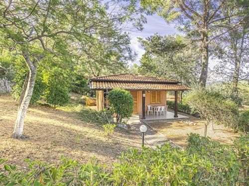 Bungalow - 6 personer -  - 17051 - Andora