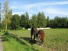 Bild 23 - Aussen