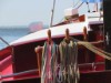 Billede 24