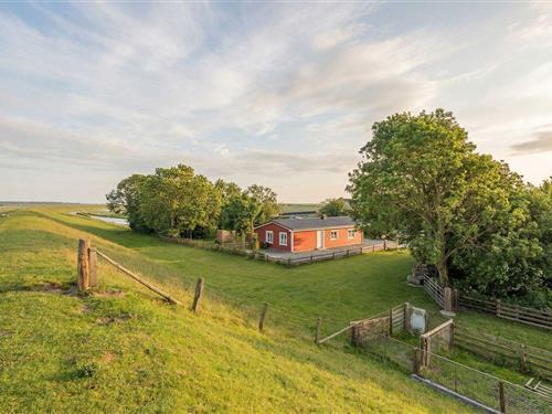 Holiday home - 4 persons -  - Dammchaussee - 25845 - Nordstrand