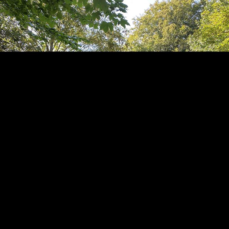 Ferienhaus - 6 Personen -  - Jættestuevej - 4573 - Höjby