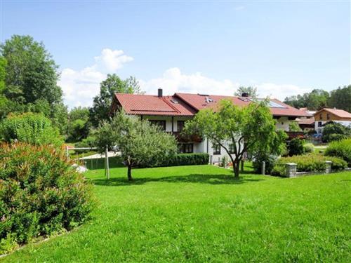 Ferienhaus - 4 Personen -  - Kapellenweg - 94239 - Zachenberg