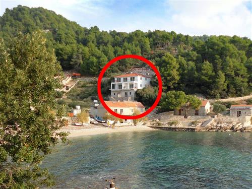 Holiday apartment - 2 persons -  - Gdinj - 21467 - Gdinj-Virak