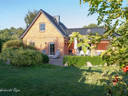 Fritidshus - 6 personer -  - Luppath - 18574 - Poseritz