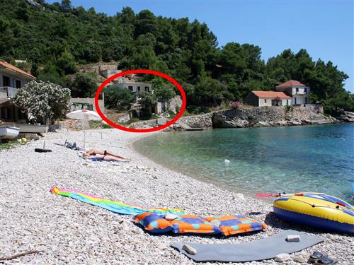 Sommerhus - 5 personer -  - Uvala Skozanje b.b. - 21467 - Gdinj-Virak