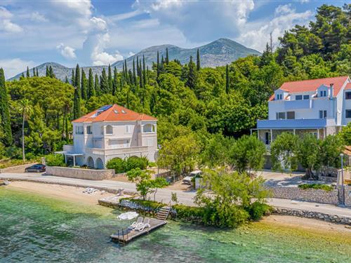 Holiday Home/Apartment - 6 persons -  - Put od Banje - Dubrovnik-Slano - 20232 - Slano
