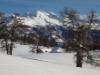 Bilde 39