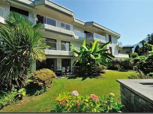 Holiday apartment - 4 persons -  - Via Lido - 6612 - Ascona