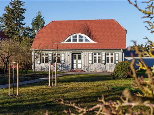 Sommerhus - 8 personer -  - Chausseestr. - 18375 - Born A. Darß