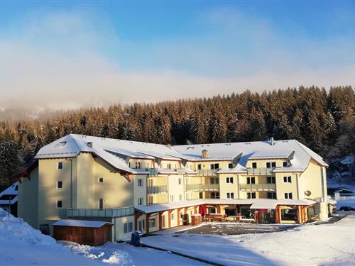 Semesterhus/Semesterlägenhet - 4 personer -  - 79868 - Feldberg