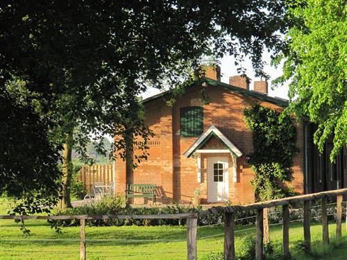 Feriehus - 4 personer -  - Friedrichsthal - 23758 - Giddendorf