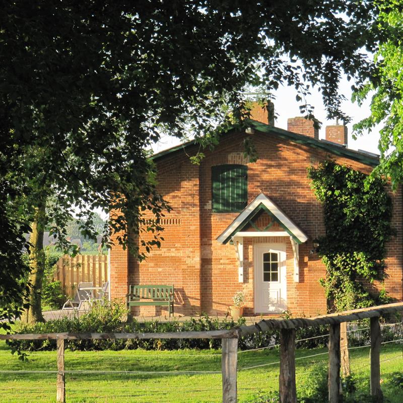 Sommerhus - 4 personer -  - Friedrichsthal - 23758 - Giddendorf