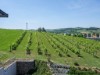Bild 39 - Aussen