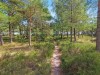 Billede 23 - Område
