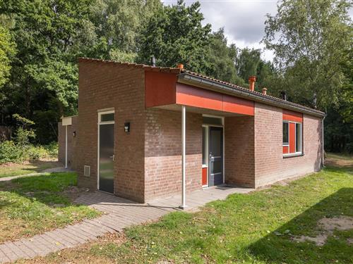 Bungalow - 6 personer -  - 6002ST - Weert