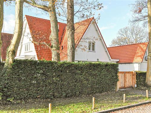 Ferienhaus - 6 Personen -  - Zuidlaan - 1861 GS - Bergen