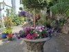 Image 19 - Outside
