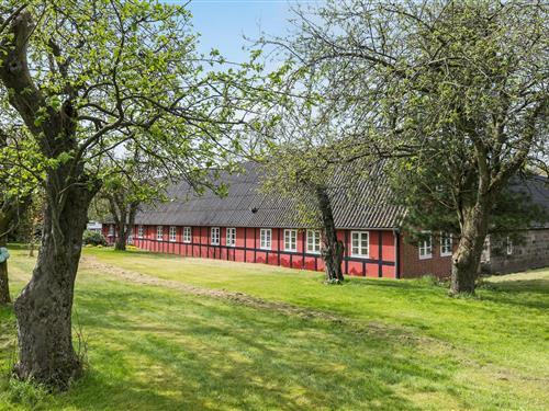 Ferienhaus - 6 Personen -  - Nødagervej - Ebdrup - 8560 - Kolind