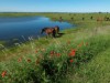 Afbeelding 21