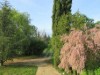 Bilde 4