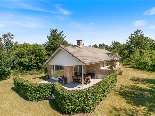 Sommerhus - 8 personer -  - Tranebærvej - Lodbjerg Hede - 6950 - Ringkøbing
