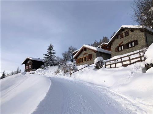 Holiday home - 5 persons -  - Anzère - 1972