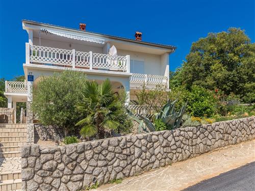 Ferieleilighet - 4 personer -  - Sveti Mikul - 51515 - Silo