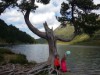 Bild 19