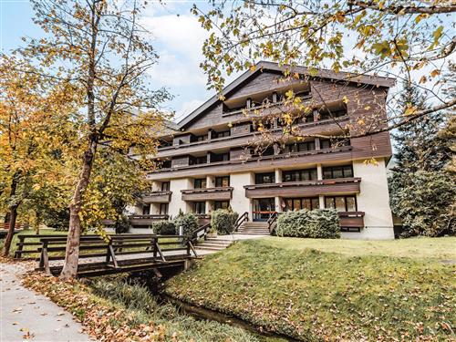 Ferienwohnung - 4 Personen -  - Bad Hofgastein - 5630