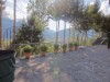 Image 24 - Outside