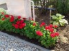 Bild 31 - Aussen