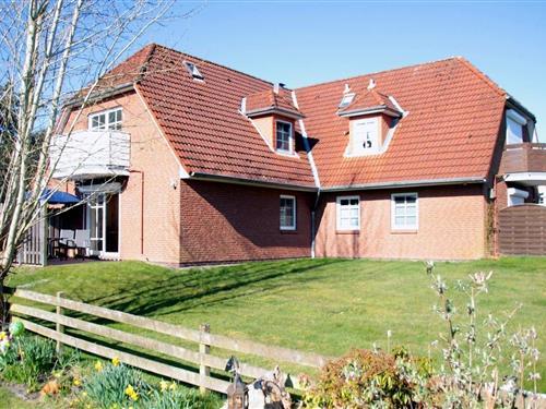 Ferielejlighed - 4 personer -  - Böhler Landstrasse - 25826 - St. Peter-Ording