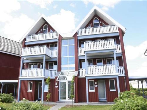 Ferielejlighed - 6 personer -  - 17248 - Rechlin