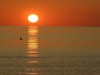 Billede 16