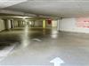 Bild 19