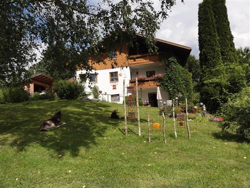 Holiday Home/Apartment - 6 persons -  - Oberried, Schusterhöhe - 94256 - Drachselsried