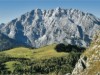 Bild 36