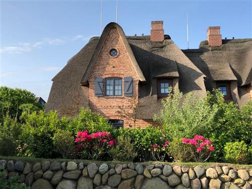 Sommerhus - 6 personer -  - Bob Terp - 25980 - Sylt /Archsum