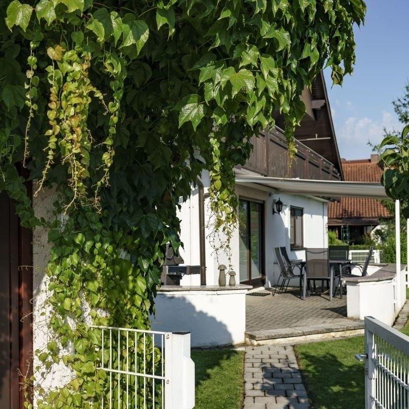 Sommerhus - 12 personer -  - St.-Katharinen-Straße - 79369 - Wyhl