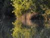 Bild 22
