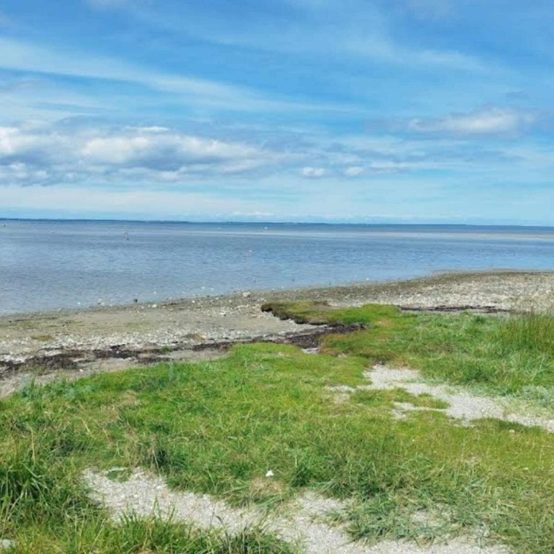 Ferienhaus - 4 Personen -  - Lillevangsvej - Over Draaby - 3630 - Jägerspris